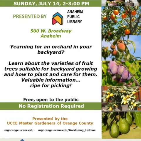 Grow Your Own Orchard – Join Our Backyard Fruit Tree Workshop!