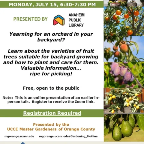 Missed It? Join Our Backyard Orchard Zoom Encore!