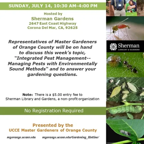 Learn to Outsmart Garden Pests – Talk to Our Experts