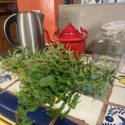 photos by Lorie Hammond