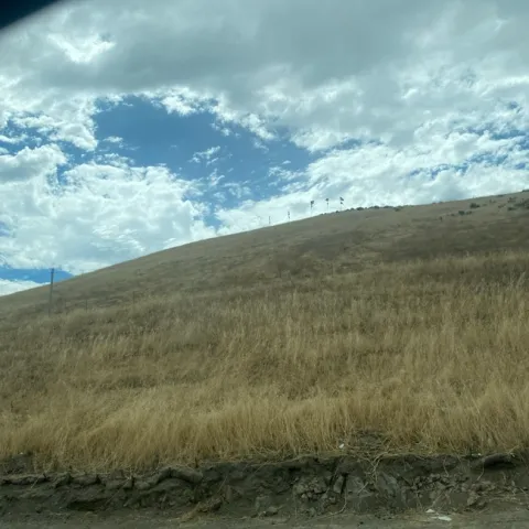 photo by Mike Gunther