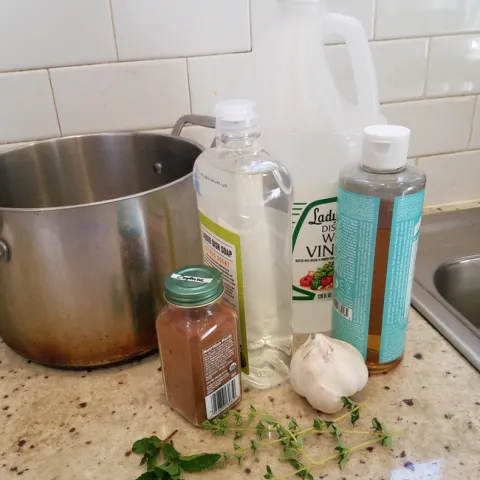 IPM homemade pesticide 1