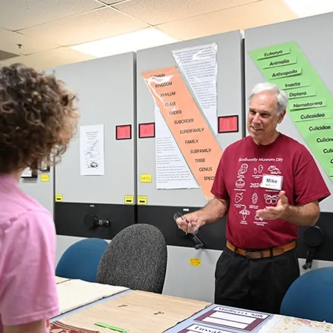 Bohart Museum associate Michael Pitcairn, retired from the California Department of Food and Agriculture, answers questions about silkworm moths and textiles. (Photo by Kathy Keatley Garvey)