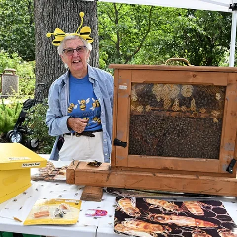 Ettmarie Peterson, known as "The Queen Bee of Sonoma County," stands by her bee observation hive at the Vacaville Museum Guild's Children's Party. (Photo by Kathy Keatley Garvey)