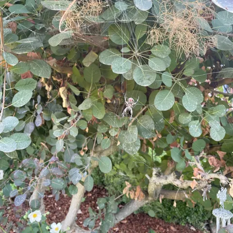 photo by Mary Connolly