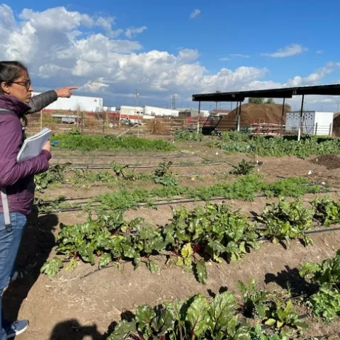 -3314111035323018691