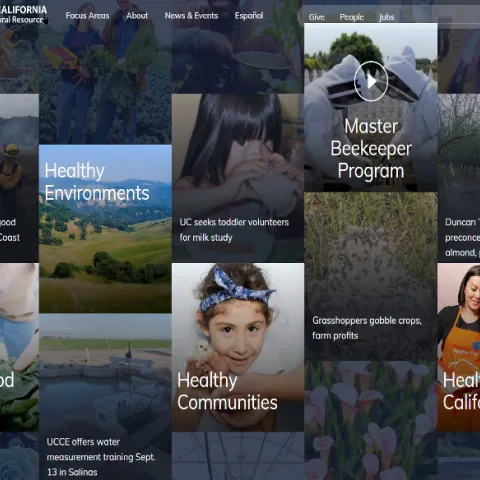 WebsiteTransition-01