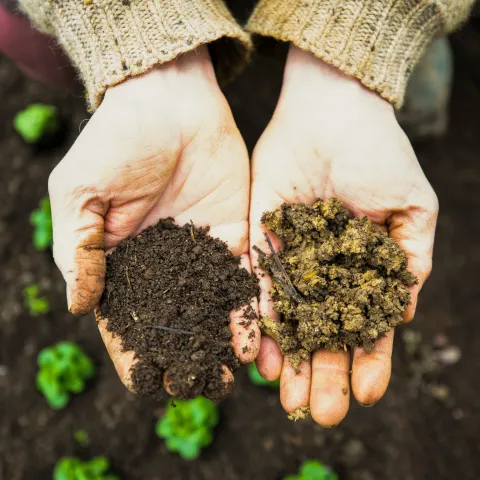 markus-spiske-nvk0j5IAgwI-unsplash