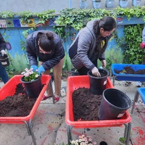 Photo courtesy of Anne Sutherland.