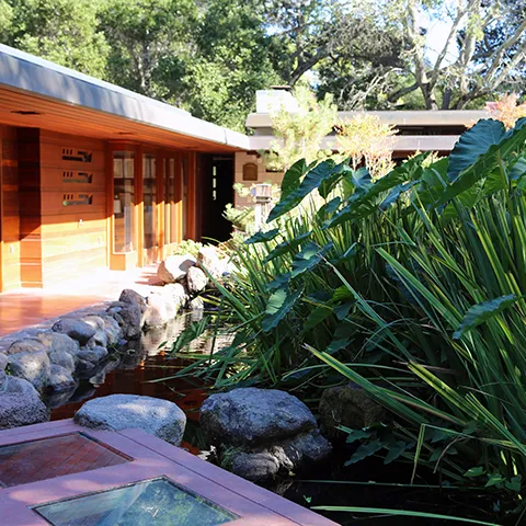 Photo courtesy of Hedwig Van Den Broeck.