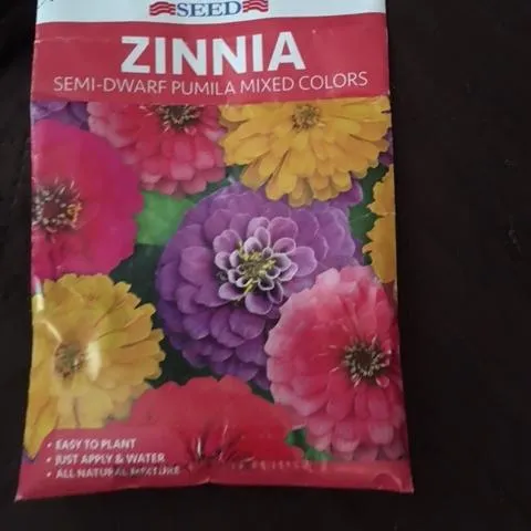 Zinnia seeds. photos by Heather Hamilton