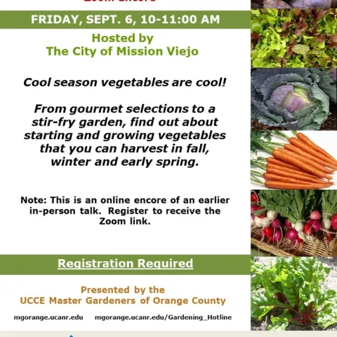 Ready to Harvest Year-Round? Sign Up for Our Cool-Season Veggie Webinar