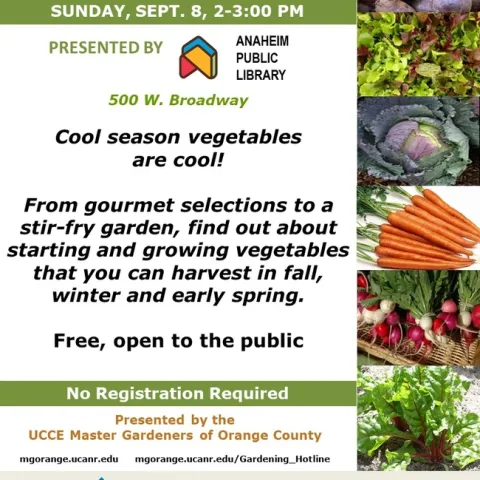 Transform Your Winter Garden: Discover How to Grow Cool-Season Vegetables