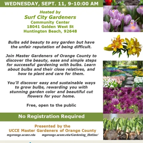 Discover the Simple Beauty of Bulbs! Join Us for Expert Gardening Tips.