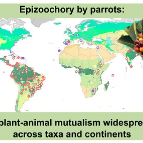 Hernandez-Brito D., et al.