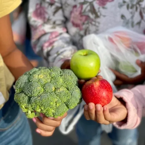 A stalk of broccoli, a green apple and a red apple held in children's hands.