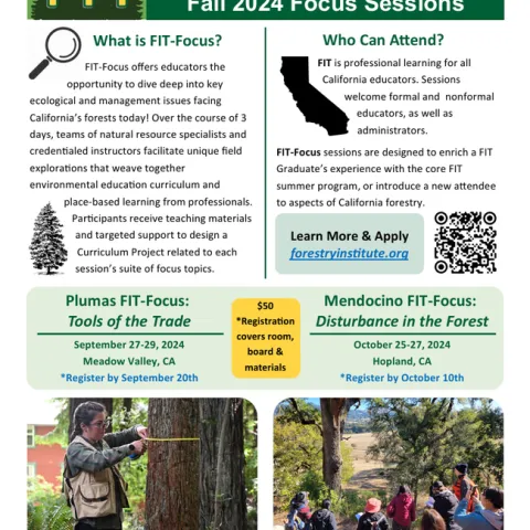 Screenshot 2024-09-18 092909