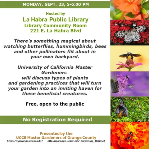 Attract Bees & Butterflies to Your Garden – Learn How from UC Master Gardeners