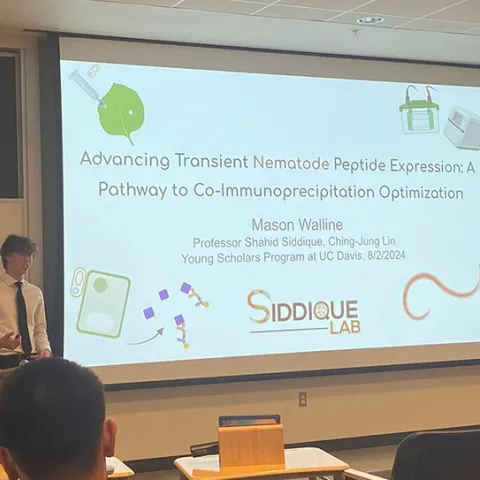 Mason Walline won second place in the UC Davis Young Scholars Program "Summer Slam" (Elevator Pitch or short-version), competing with some 35 other students. (Photo by Ching-Jung Lin)