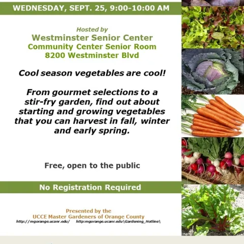 Cool Veggies, Cooler Seasons! Learn How to Harvest This Fall