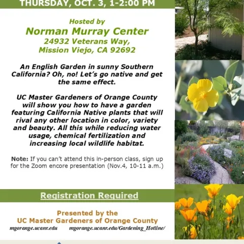 Embrace California Natives: Transform Your Garden—Join Us!