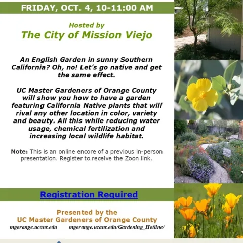 Transform Your Garden with California Natives—Zoom Encore-Register now!
