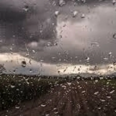 rain