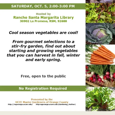 Harvest Fresh Veggies This Fall! Cool Season Gardening Tips Await