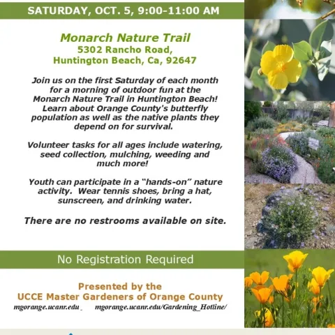 Calling All Nature Lovers! Volunteer with Us on Monarch Nature Trail