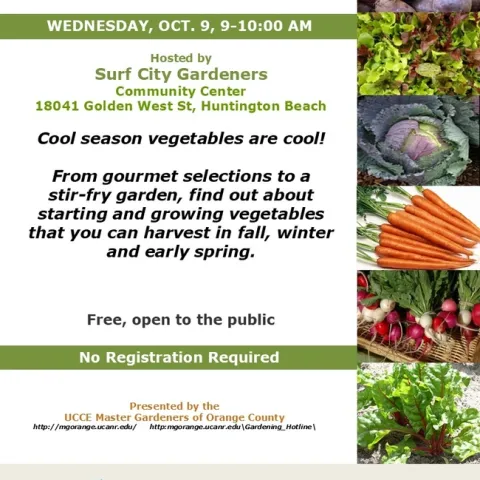 Want Fresh Produce in Winter? Grow Cool Season Vegetables