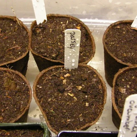 seed starting by normanack is licensed under CC BY 2.0.