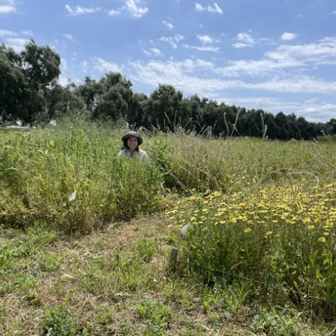 Graduate student Olivia Parra