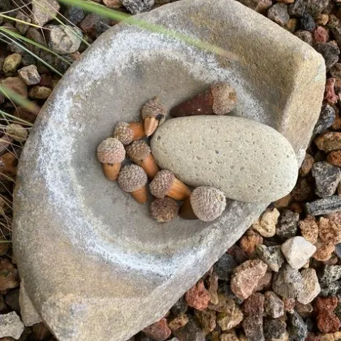 Mortor and pestle with acorns.
