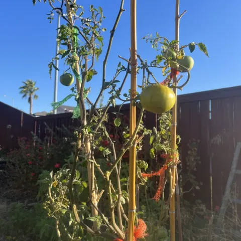 photos by Elvira Deleon