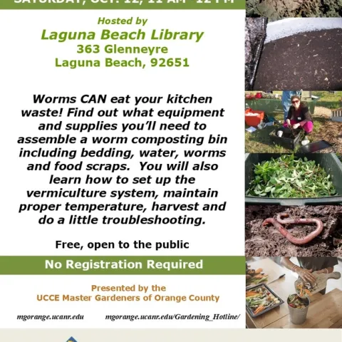 Turn Food Scraps into Gold! Learn Vermicomposting with Worms