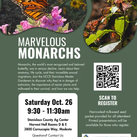 Marvelous Monarchs flier full size (1) (1)