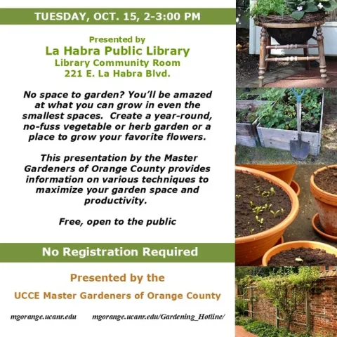 Grow More with Less: Master Gardening Techniques for Small Spaces