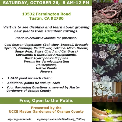 Grab Succulents, Veggies & More. Pop-Up Plant Giveaway Awaits!