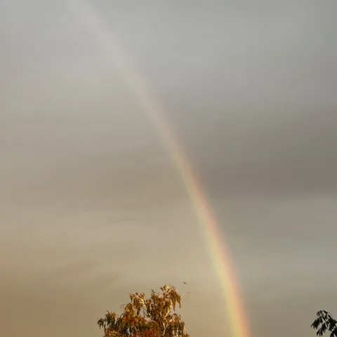 Faint rainbow. photo by Jennifer Baumbach