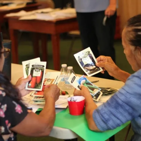 Participants receive seed packets of various fruits, vegetables and leafy greens.
