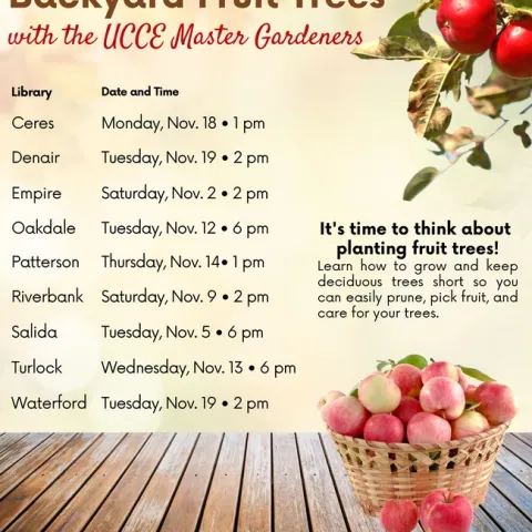 Date Time	Branch
11/2 Sat 2:00 pm	Empire
11/5 Tues 6:00 pm	Salida
11/9 Sat 2:00 pm	Riverbank
11/12 Tues 6:00 pm	Oakdale
11/13 Wed 6:00 pm	Turlock
11/14 Thurs 1:00 pm	Patterson
11/18 Mon 1:00 pm	Ceres
11/19 Tues 2:00 pm	Denair
11/19 Tues 2:00 pm	Waterford