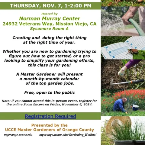 Ready to Grow? Discover Monthly Gardening Tips for Every Skill Level.