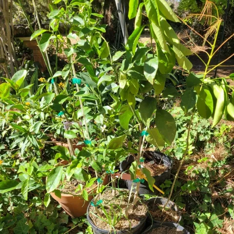 photo by Loralei Dewe