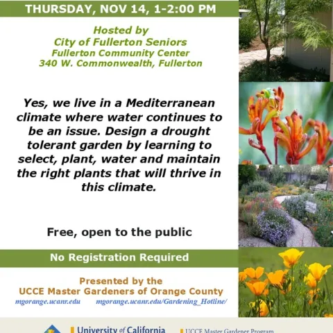 Design a Lush, Drought-Tolerant Garden That Thrives in Any Climate