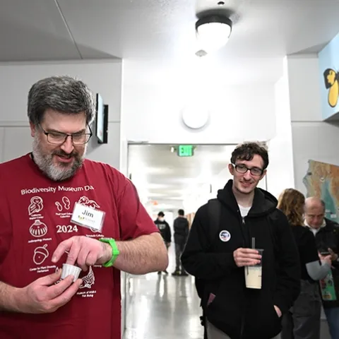 Postdoctoral research scientist James Starrett, of the arachnology lab of Professor Jason Bond, director of the Bohart Museum, gets ready to eat a crickette. (Photo by Kathy Keatley Garvey)