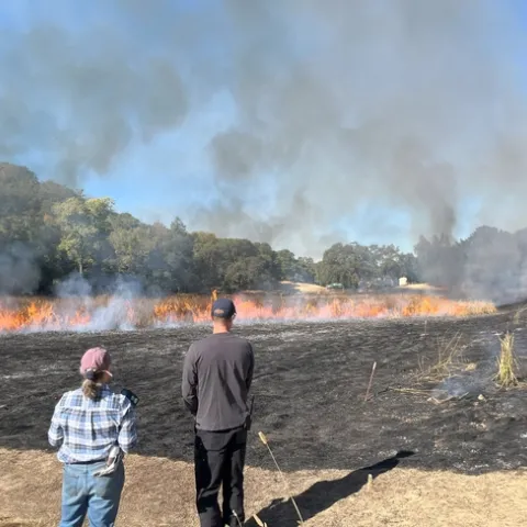 Two people stand on the edge of a blackened field with a line of flames.
