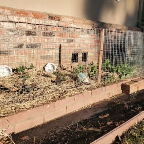 photos by Lindi Houser