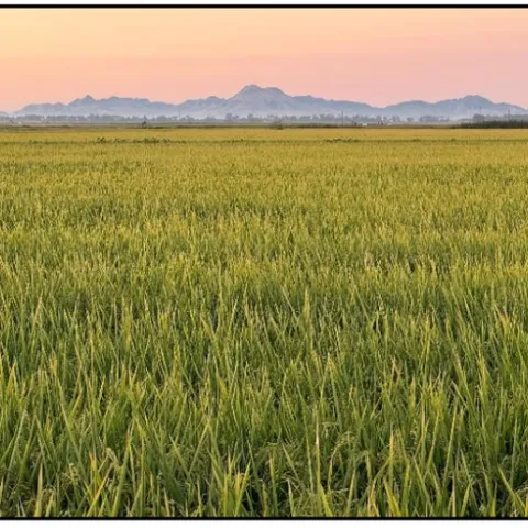 Screenshot 2024-11-19 at 8.25.10?PM