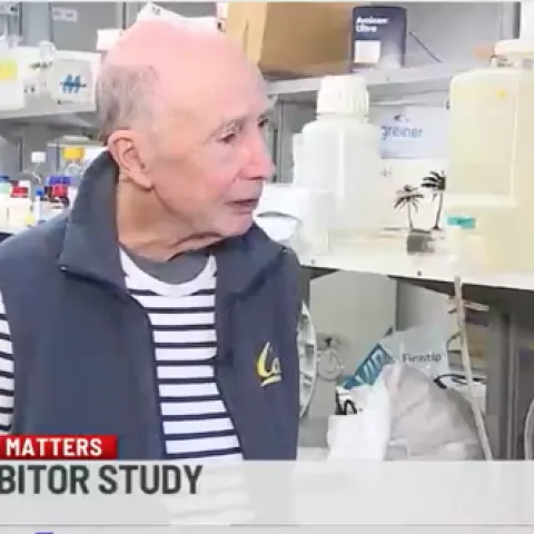 UC Davis distinguished professor Bruce Hammock is interviewed by Juliette Smith of Fox40 News. (Screen shot of Hammock in his lab, courtesy of Fox40 News)
