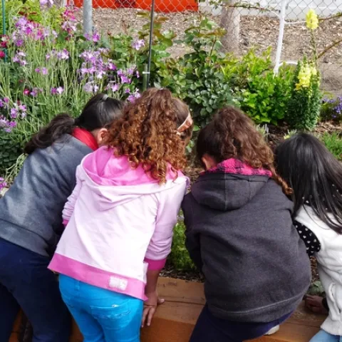 #GiveBack to Grow Forward with UC Master Gardeners of Orange County on Giving Tuesday!